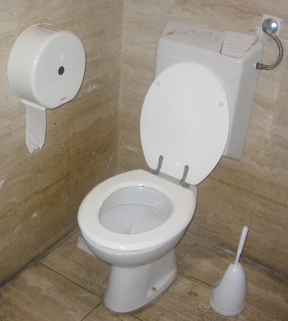 A white toilet with its flush tank and water supply hose visible.
